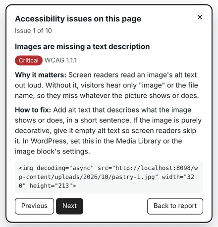 Show on page panel on a live page: images missing a text description, issue 1 of 10